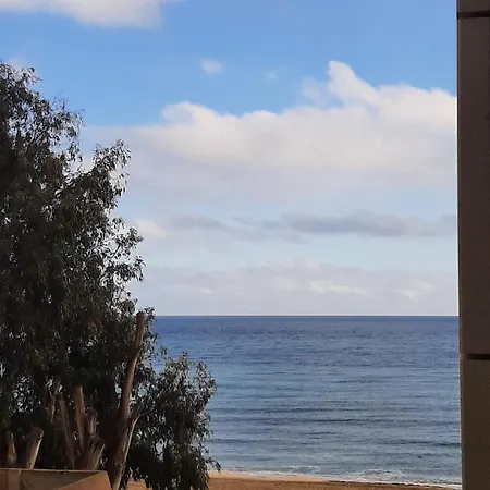 With Terrace On The Locos Torrevieja