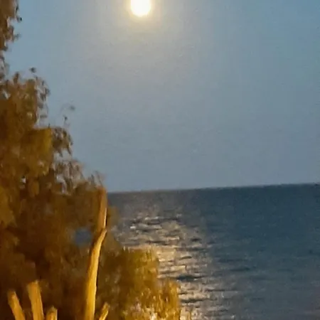 With Terrace On The Locos * Τορεβιέχα